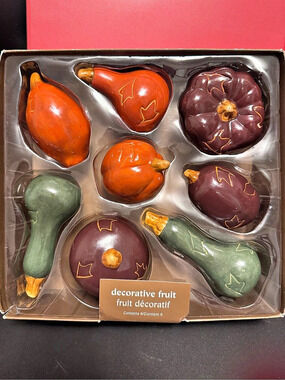 Pier 1 Imports Decorative Fall Pottery Pumpkins and Gourds